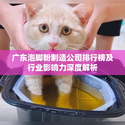 廣東泡腳粉制造公司排行榜及行業(yè)影響力深度解析