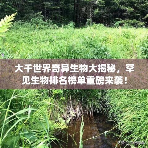 大千世界奇異生物大揭秘，罕見生物排名榜單重磅來襲！