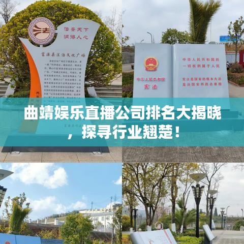 曲靖娛樂直播公司排名大揭曉，探尋行業(yè)翹楚！
