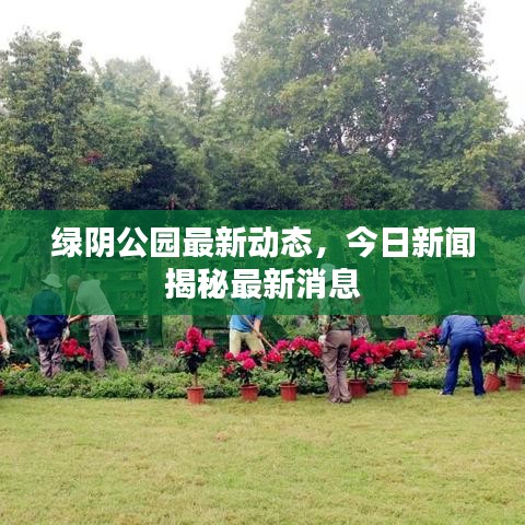 綠陰公園最新動(dòng)態(tài)，今日新聞揭秘最新消息