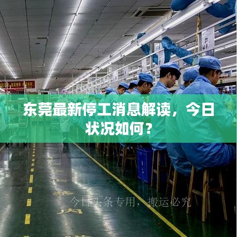 東莞最新停工消息解讀，今日狀況如何？