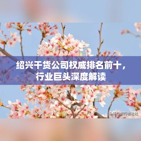紹興干貨公司權(quán)威排名前十，行業(yè)巨頭深度解讀
