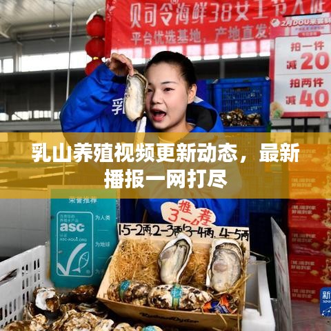 乳山養(yǎng)殖視頻更新動態(tài)，最新播報一網(wǎng)打盡