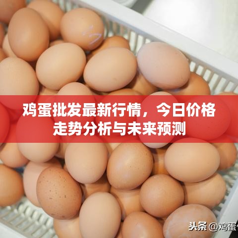 雞蛋批發(fā)最新行情，今日價格走勢分析與未來預(yù)測