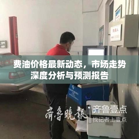 費(fèi)油價(jià)格最新動(dòng)態(tài)，市場(chǎng)走勢(shì)深度分析與預(yù)測(cè)報(bào)告