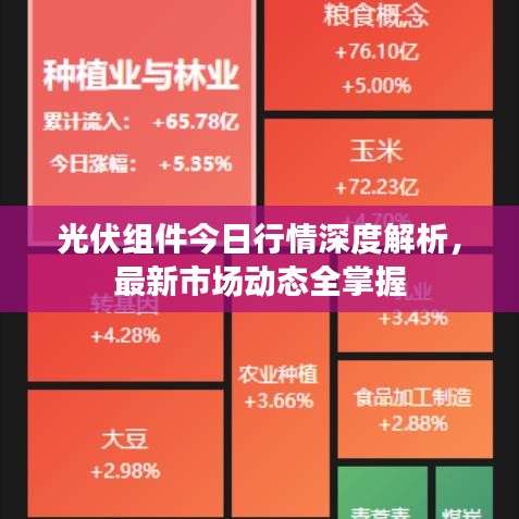 光伏組件今日行情深度解析，最新市場動(dòng)態(tài)全掌握