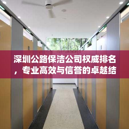 深圳公路保潔公司權(quán)威排名，專業(yè)高效與信譽的卓越結(jié)合