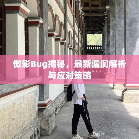 傲影Bug揭秘，最新漏洞解析與應(yīng)對策略