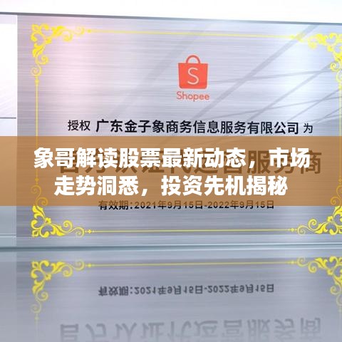 象哥解讀股票最新動態(tài)，市場走勢洞悉，投資先機(jī)揭秘