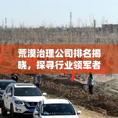 荒漠治理公司排名揭曉，探尋行業(yè)領(lǐng)軍者，共創(chuàng)綠色家園新篇章