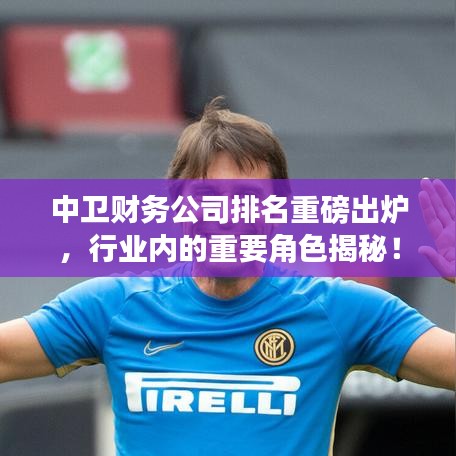 中衛(wèi)財(cái)務(wù)公司排名重磅出爐，行業(yè)內(nèi)的重要角色揭秘！