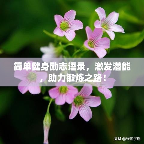 簡(jiǎn)單健身勵(lì)志語(yǔ)錄，激發(fā)潛能，助力鍛煉之路！