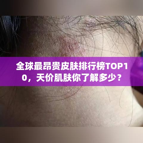 鳥吏鱉官 第4頁