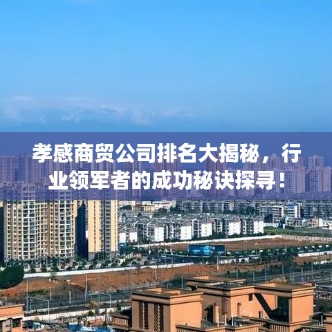 孝感商貿(mào)公司排名大揭秘，行業(yè)領(lǐng)軍者的成功秘訣探尋！