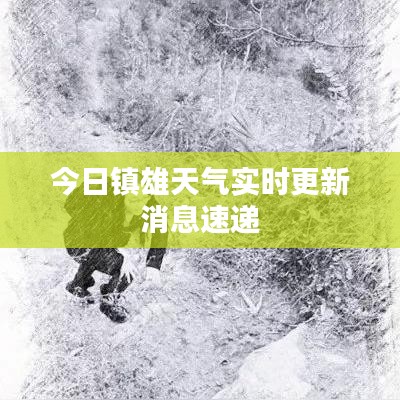 今日鎮(zhèn)雄天氣實(shí)時(shí)更新消息速遞