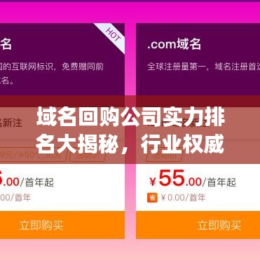 域名回購公司實力排名大揭秘，行業(yè)權(quán)威榜單重磅出爐！