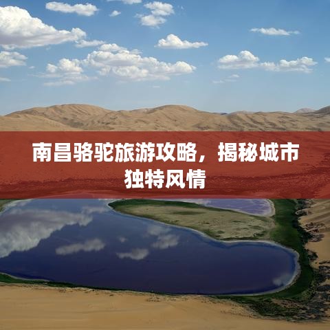 南昌駱駝旅游攻略，揭秘城市獨特風情