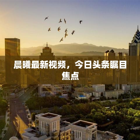 晨曦最新視頻，今日頭條矚目焦點(diǎn)