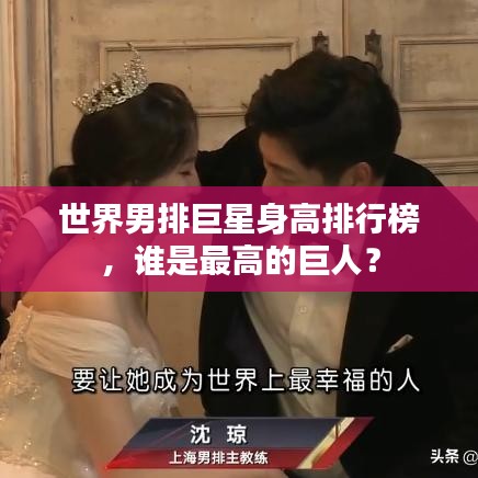 世界男排巨星身高排行榜，誰是最高的巨人？