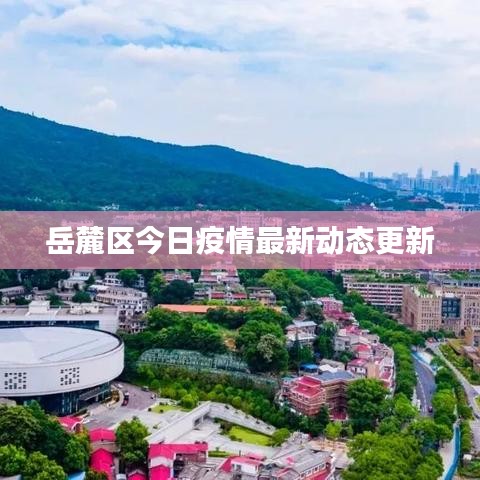 岳麓區(qū)今日疫情最新動態(tài)更新