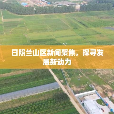 日照蘭山區(qū)新聞聚焦，探尋發(fā)展新動力