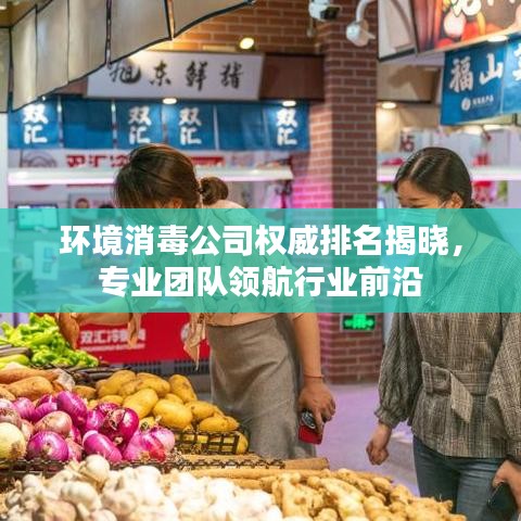 環(huán)境消毒公司權(quán)威排名揭曉，專(zhuān)業(yè)團(tuán)隊(duì)領(lǐng)航行業(yè)前沿