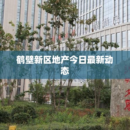 鶴壁新區(qū)地產(chǎn)今日最新動(dòng)態(tài)