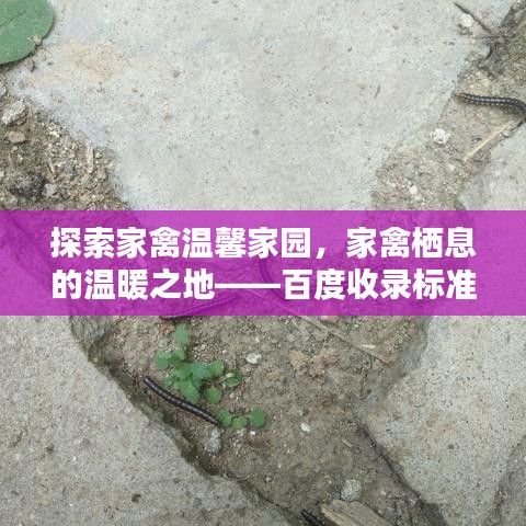 窮鳥(niǎo)入懷 第3頁(yè)