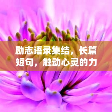 勵(lì)志語(yǔ)錄集結(jié)，長(zhǎng)篇短句，觸動(dòng)心靈的力量
