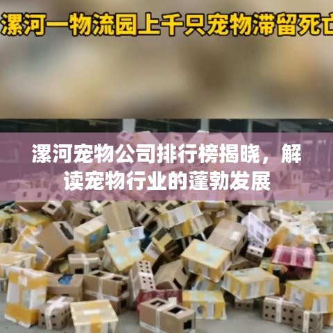 漯河寵物公司排行榜揭曉，解讀寵物行業(yè)的蓬勃發(fā)展