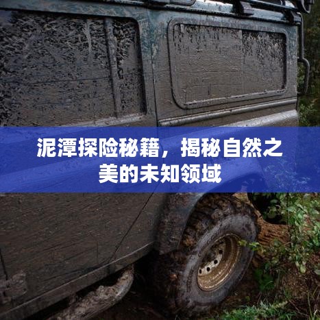 泥潭探險(xiǎn)秘籍，揭秘自然之美的未知領(lǐng)域