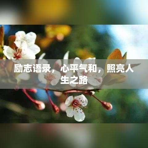 勵志語錄，心平氣和，照亮人生之路