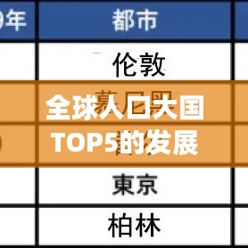 全球人口大國(guó)TOP5的發(fā)展與挑戰(zhàn)探究