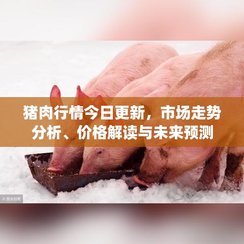 豬肉行情今日更新，市場走勢分析、價格解讀與未來預測