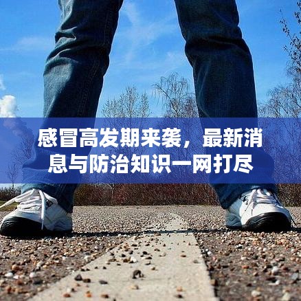 感冒高發(fā)期來襲，最新消息與防治知識一網(wǎng)打盡