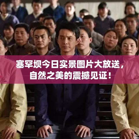 塞罕壩今日實景圖片大放送，自然之美的震撼見證！