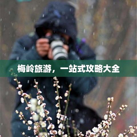 梅嶺旅游，一站式攻略大全