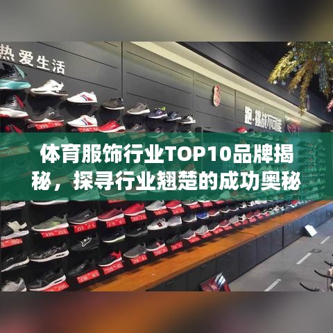 體育服飾行業(yè)TOP10品牌揭秘，探尋行業(yè)翹楚的成功奧秘