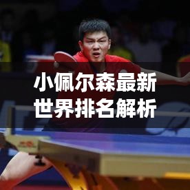小佩爾森最新世界排名解析，揭秘他的榮耀與努力之路