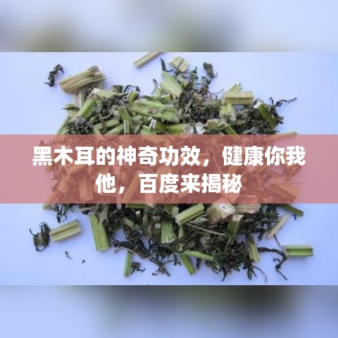 黑木耳的神奇功效，健康你我他，百度來揭秘