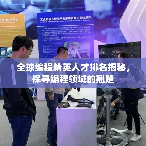 全球編程精英人才排名揭秘，探尋編程領(lǐng)域的翹楚