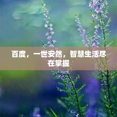 百度，一世安然，智慧生活盡在掌握