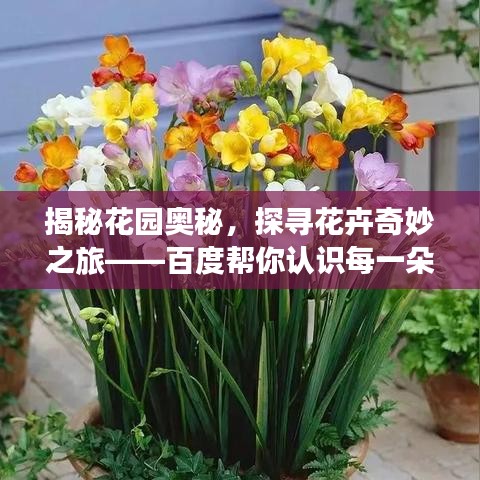 揭秘花園奧秘，探尋花卉奇妙之旅——百度幫你認(rèn)識(shí)每一朵花