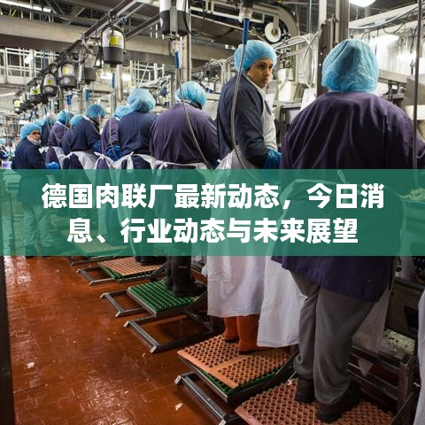 德國(guó)肉聯(lián)廠最新動(dòng)態(tài)，今日消息、行業(yè)動(dòng)態(tài)與未來(lái)展望