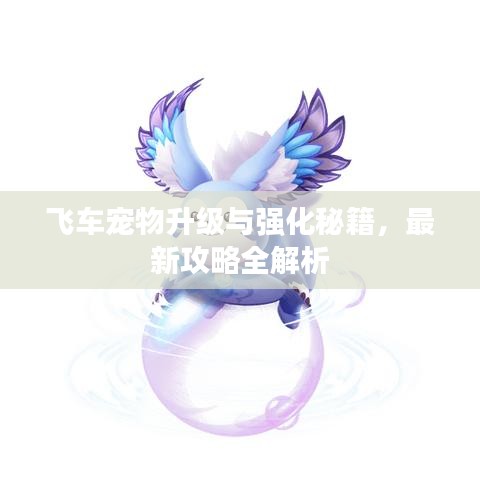 飛車寵物升級(jí)與強(qiáng)化秘籍，最新攻略全解析