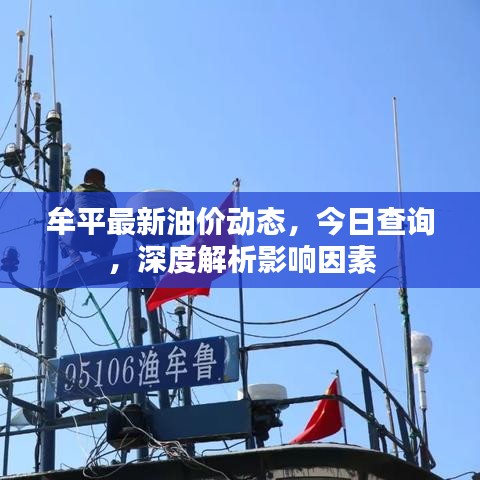 牟平最新油價(jià)動(dòng)態(tài)，今日查詢，深度解析影響因素
