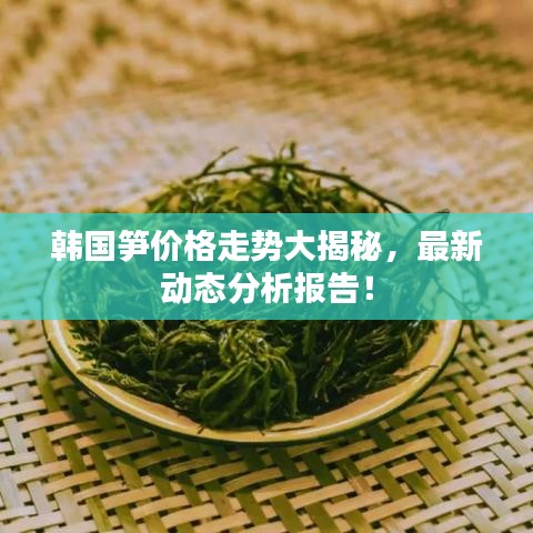 韓國(guó)筍價(jià)格走勢(shì)大揭秘，最新動(dòng)態(tài)分析報(bào)告！
