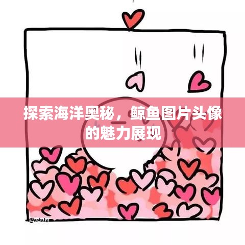 探索海洋奧秘，鯨魚圖片頭像的魅力展現(xiàn)