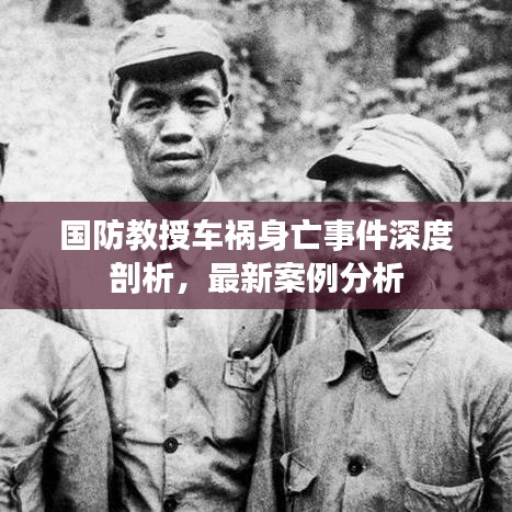 國防教授車禍身亡事件深度剖析，最新案例分析
