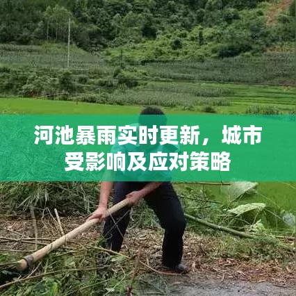 河池暴雨實(shí)時(shí)更新，城市受影響及應(yīng)對(duì)策略